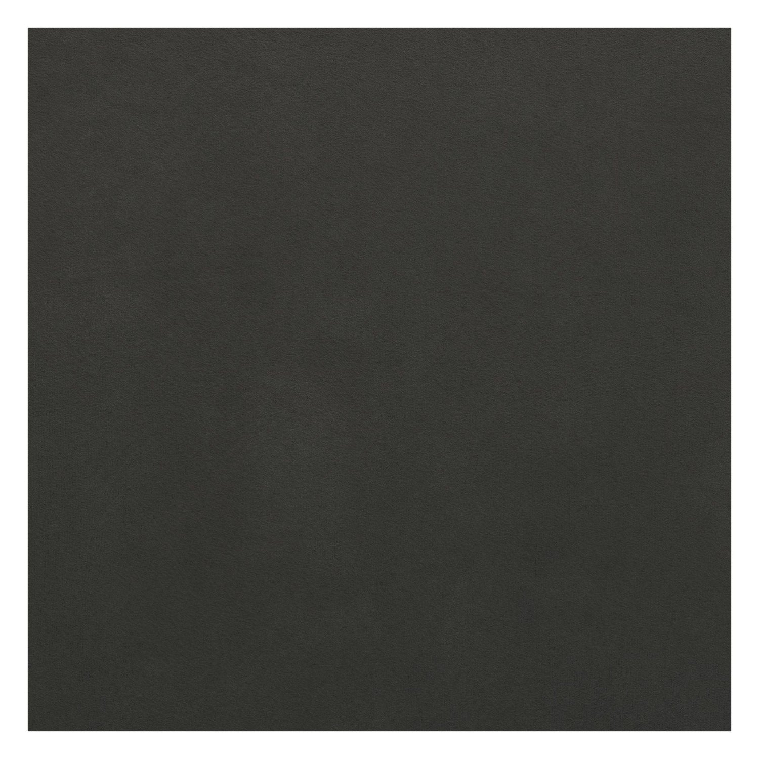 Astor Spisebordsstol polstret, Lysegrå fløjl - UNOLIVING.COM