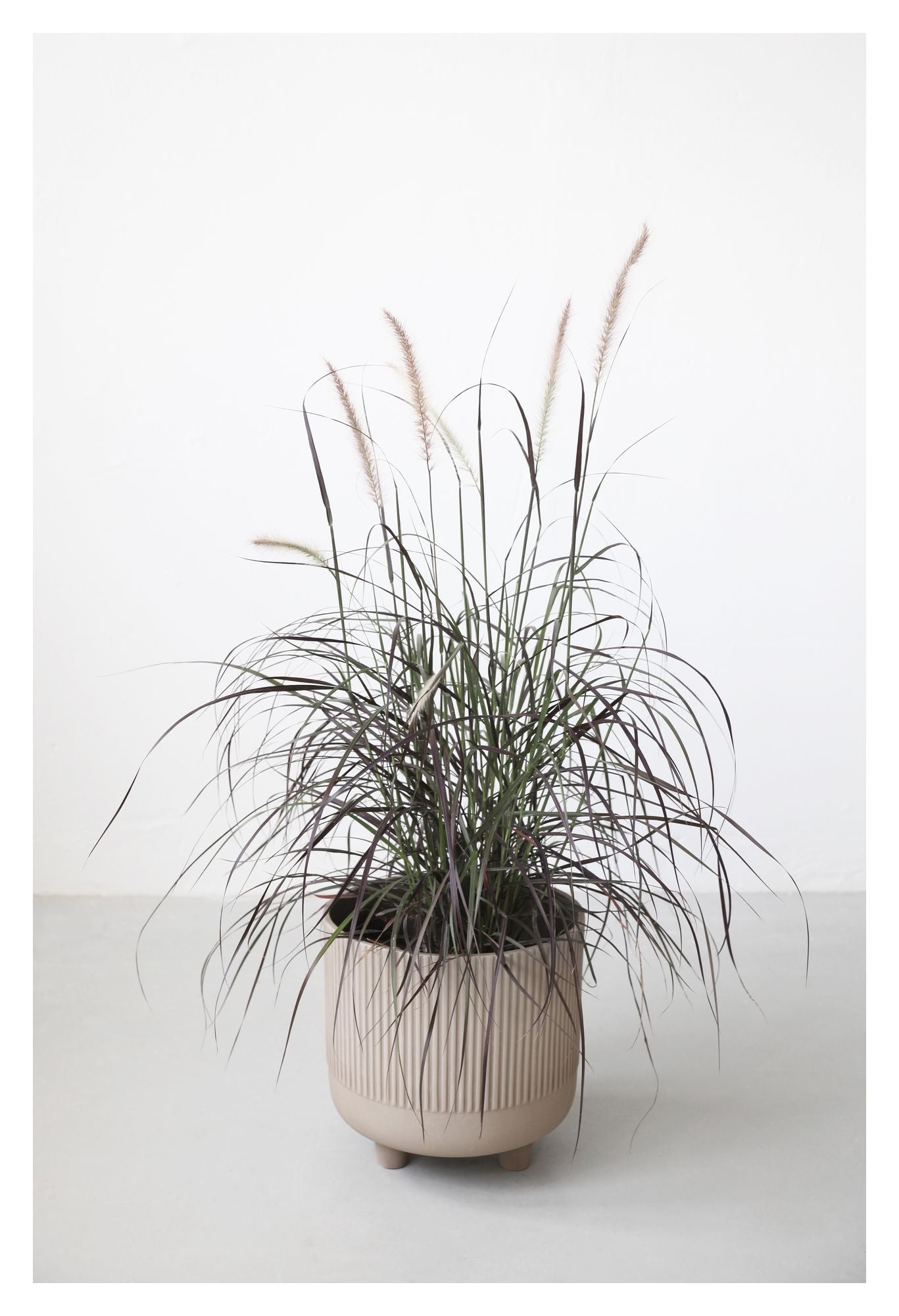 Bowl, XL urtepottetskjuler Ø30 - UNOLIVING.COM