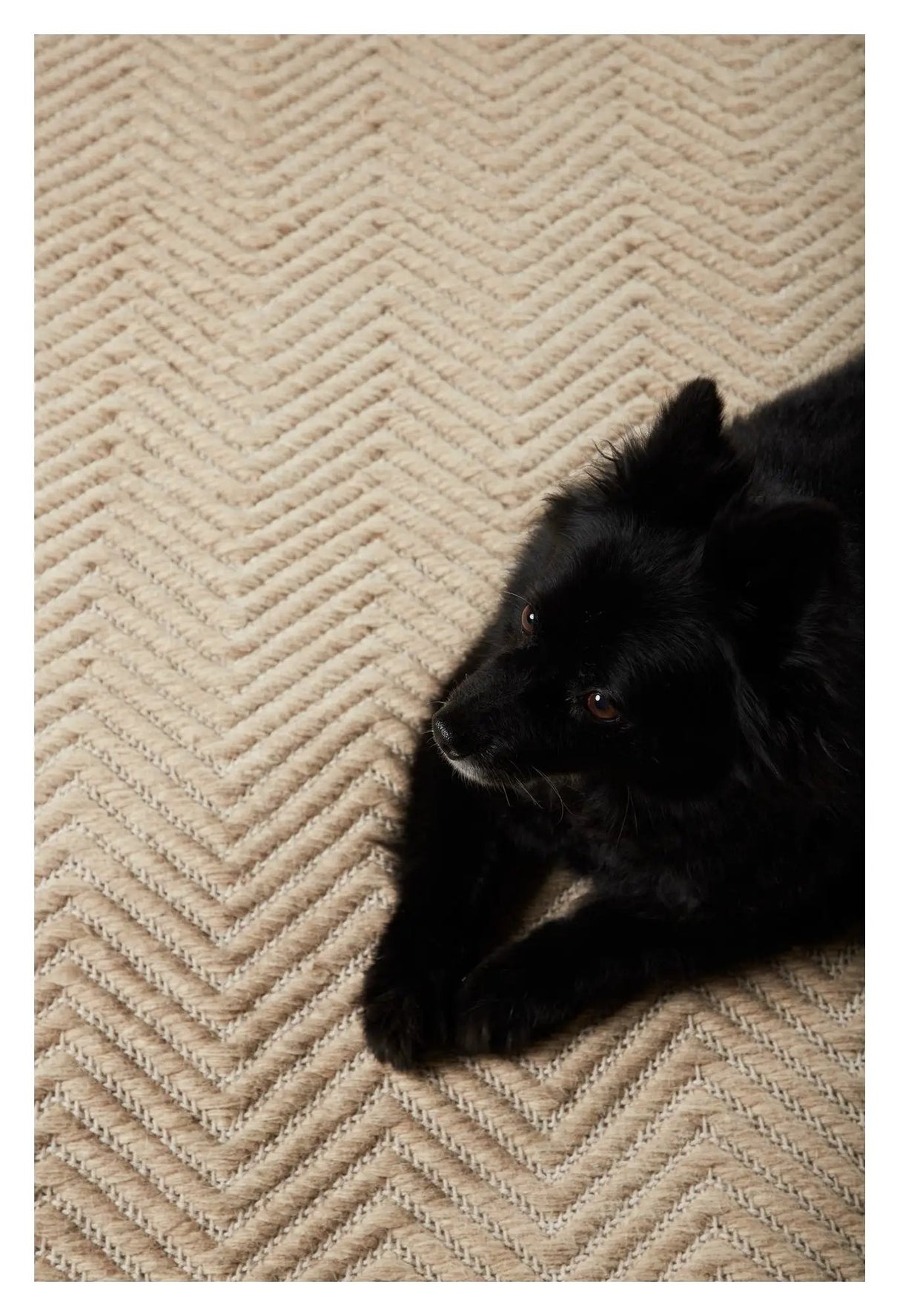 Loke Tæppe 300x200 - Hvid/beige - Unoliving.com