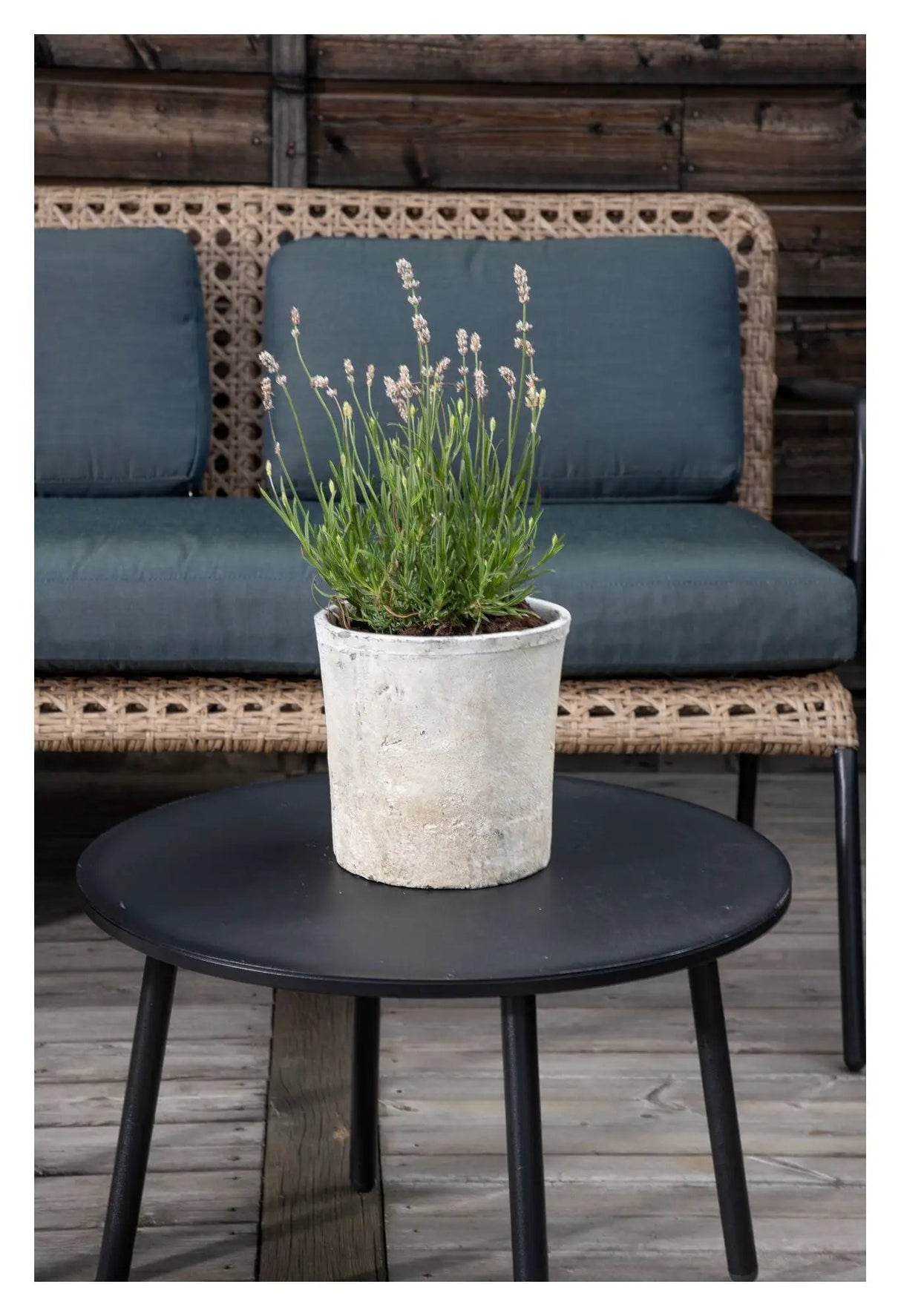 Paola Sofasæt m. sorte hynder, Natur flet - Unoliving.com