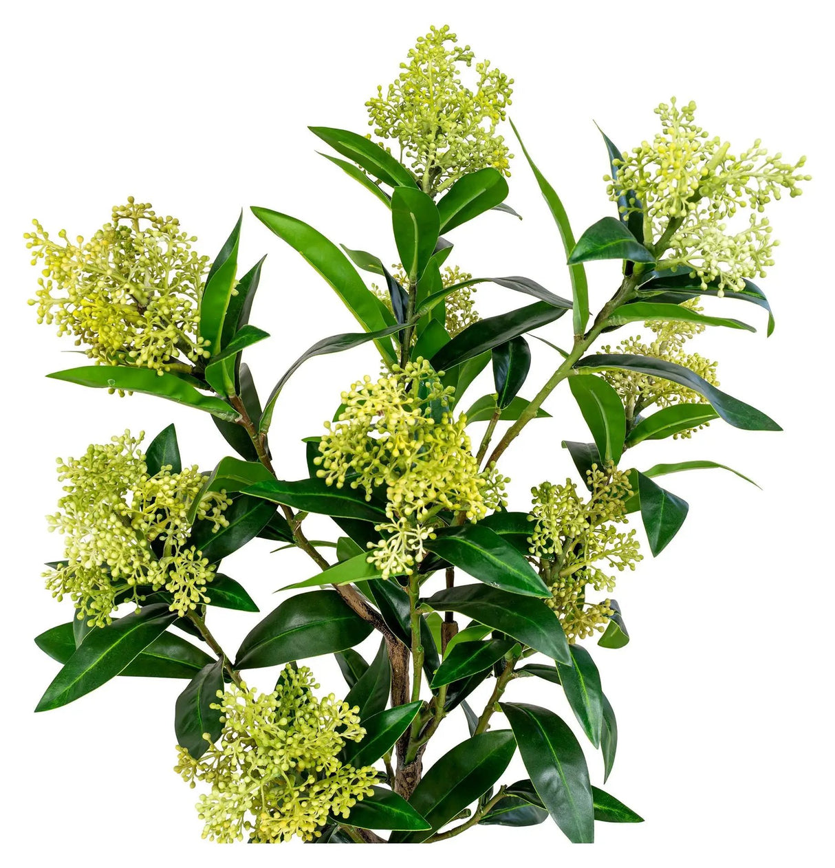 Skimmia Kunstig plante, Grøn - Unoliving.com