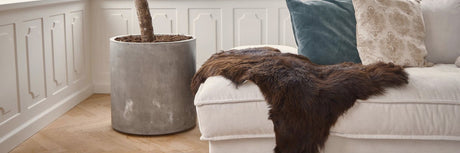Natures Collection - UNOLIVING
