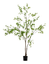 Enkianthus Kunstig træ m. sort Potte, H:214 - Unoliving.com