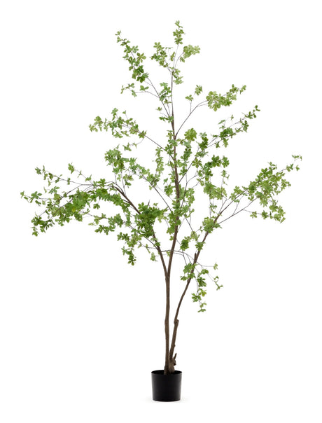 Enkianthus Kunstig træ m. sort Potte, H:214 - Unoliving.com