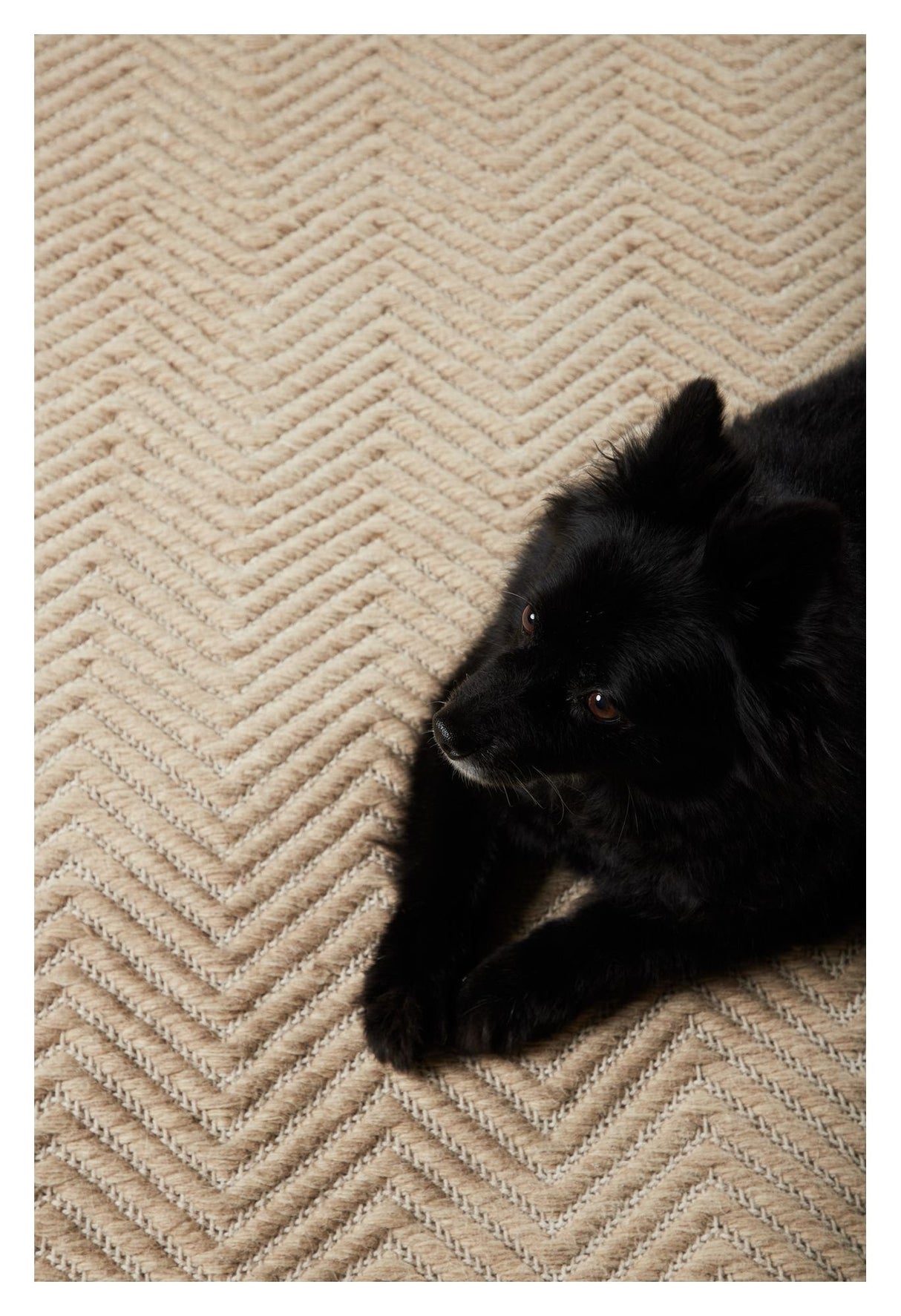 Loke Tæppe 230x160 - Hvid/beige - Unoliving.com