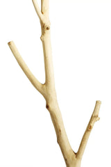 Muubs Ghost Stumtjener - Ny teak