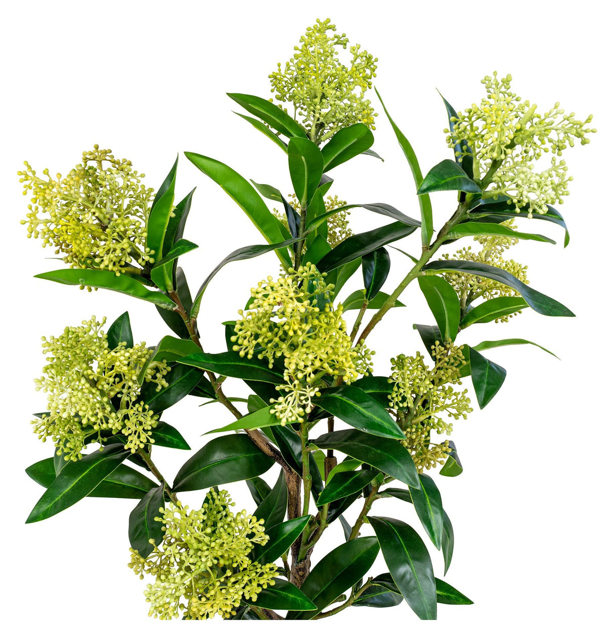 Skimmia Kunstig plante, Grøn - Unoliving.com