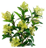 Skimmia Kunstig plante, Grøn - Unoliving.com
