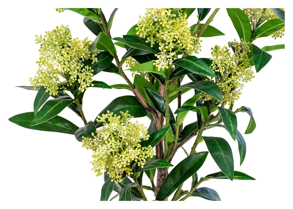 Skimmia Kunstig plante, Grøn - Unoliving.com