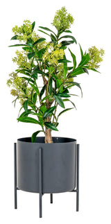 Skimmia Kunstig plante, Grøn - Unoliving.com