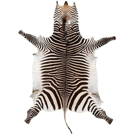 Zebra skind, Premium grade A Quality